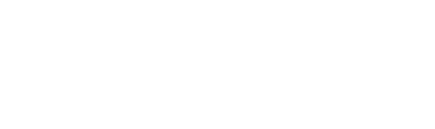Boehringer-Ingelheim Logo